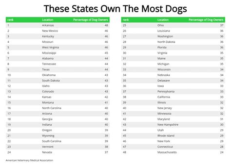 Dog States Vs Cat States States With The Most Dogs Zippia