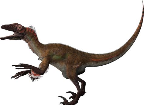 Utahraptor Dinosaur Wiki Fandom Powered By Wikia