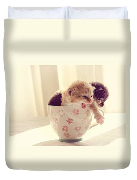 Two Cute Kittens In A Cup Duvet Cover For Sale By Spikey