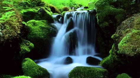 Mountain Stream Nature Sounds 10 Hours Relax Meditate Sleep Youtube