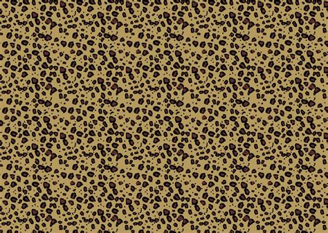 Leopard Print Pattern Vector Art And Graphics