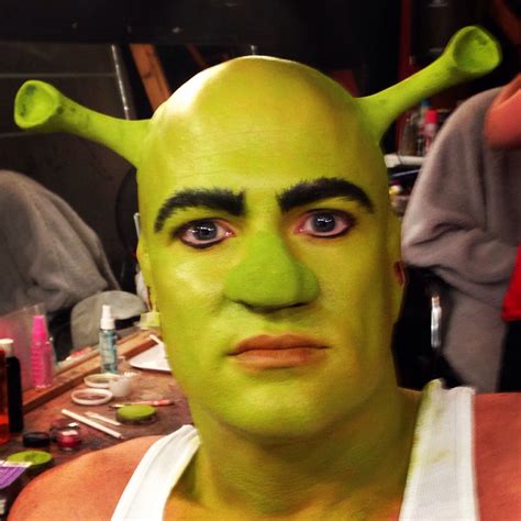 Makeup Shrekshrek Makeup Shrek Shrek And Fiona Costume Shrek Costume