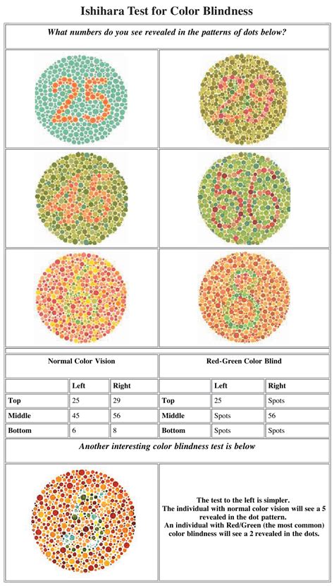 Ishihara Test for Color Blindness Chart Download Printable PDF ...