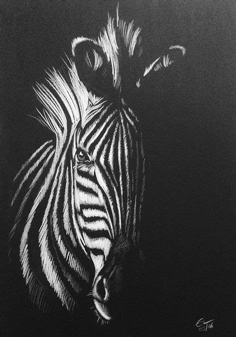 Zebra White Pencil Drawing On Black Paper Art Ideas Black Paper