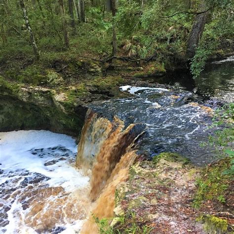 12 Amazing Waterfalls In Florida The Crazy Tourist Fall Creek