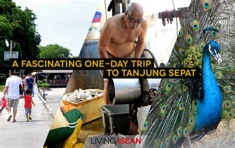 Tanjung sepat or better known as pantai sepat is a typical malay fishing village located about 10 km from kuantan and is located on the way south to the royal town of pekan. A Fascinating One-Day Trip to Tanjung Sepat, Malaysia ...
