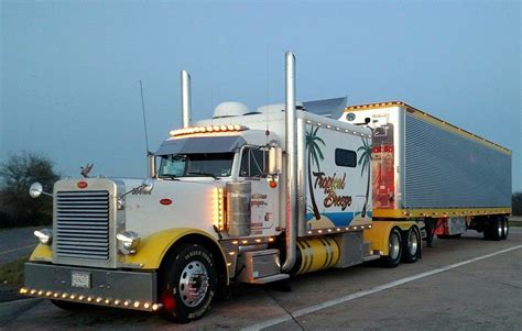Showcase Ari Legacy Sleepers Customised Trucks Big Trucks
