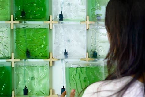 Grow Edible Algae In Your Home Design Indaba