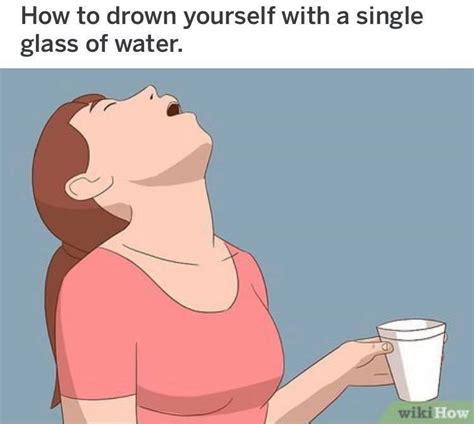 Wikihow Memes Utterly Deranged Wikihow How