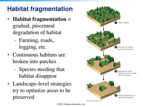 PPT - Biodiversity Loss and Species Extinction PowerPoint Presentation