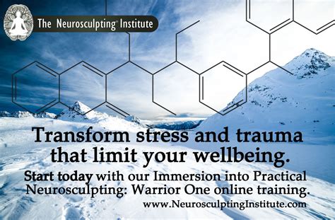 Warrior One Immersion Into Practical Neurosculpting Ce Qualified