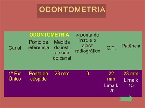 Caso Cl Nico De Endodontia Canino Inferior Dois Canais