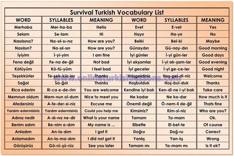 Basic Phrases In Turkish Learn Turkish Language Turkish Language