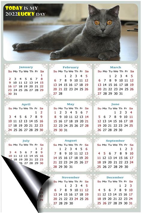 2022 Magnetic Calendar Calendar Magnets Today Is My Lucky Day Cat