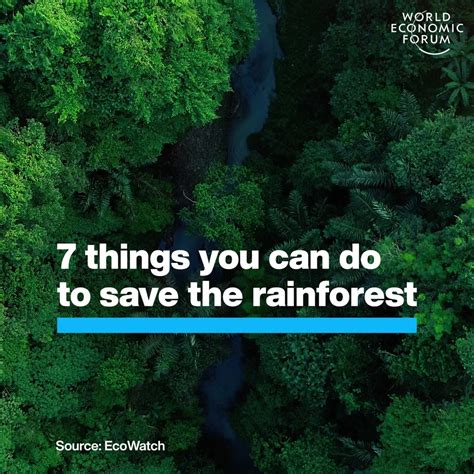 How To Save The Rainforest World Economic Forum