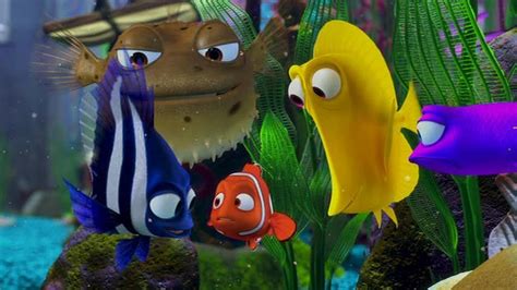 Finding Nemo Finding Nemo Image 3565005 Fanpop