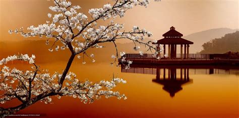 Oriental Desktop Wallpapers Top Free Oriental Desktop Backgrounds Wallpaperaccess