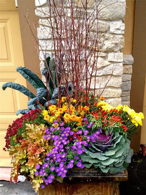 fall botanical blitz gardening professionals fall container gardens fall plants