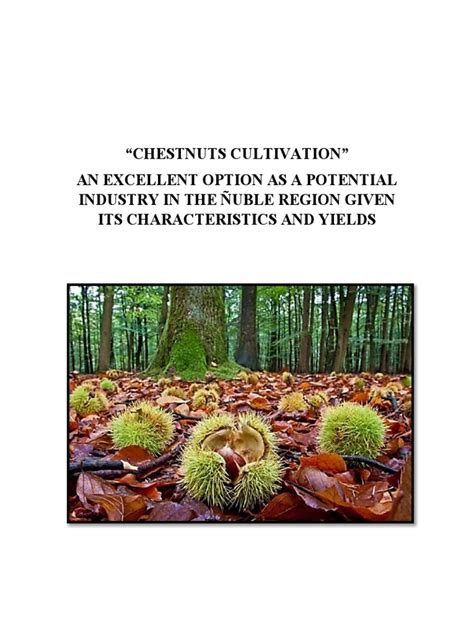 Chestnuts Cultivation Pdf Chestnut Agriculture