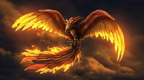 Bird Of Prey Fire Fly Phoenix Wallpaper Resolution4096x2304 Id