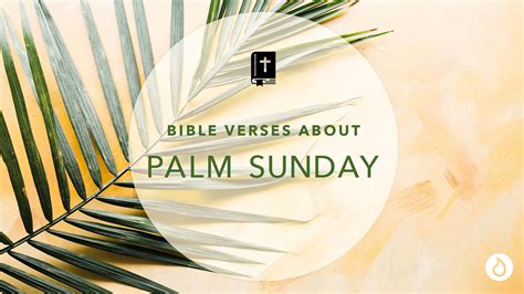 Palm Sunday Scripture For Reflection Liquid Church