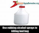 Bed Bug Spray Rubbing Alcohol Pictures