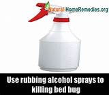 Images of Home Remedies To Get Rid Of Bed Bugs With Alcohol