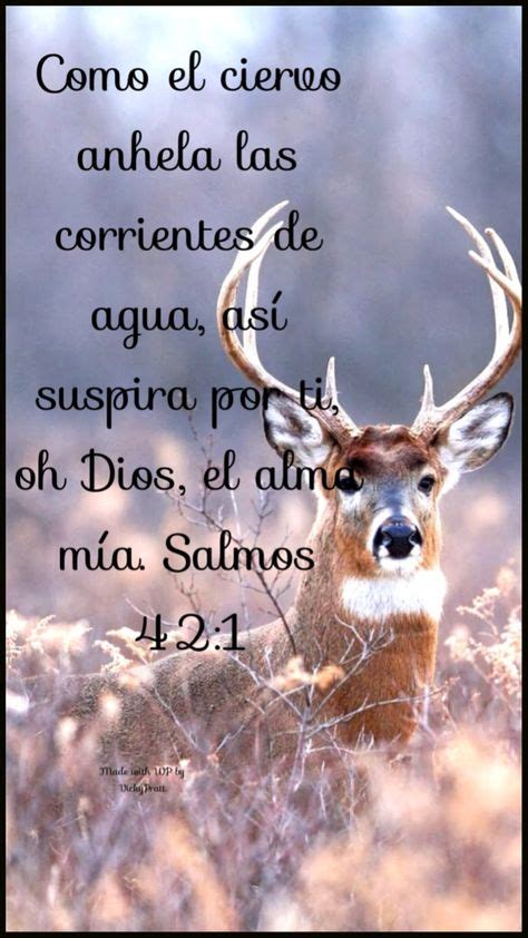 Salmo 421 2 Como El Ciervo Brama Por Las Corrientes De Las Aguas Así