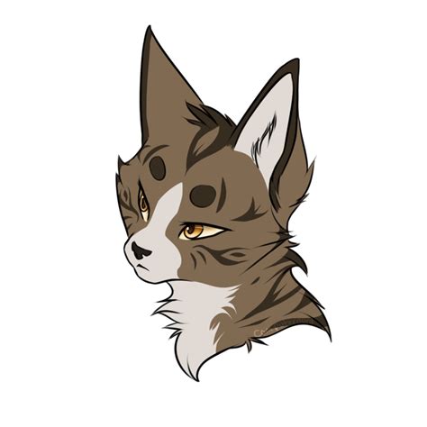 See more ideas about warrior cat, warrior cat drawings, cat drawing. Leafpool by Computernurd on DeviantArt | Warrior cats ...