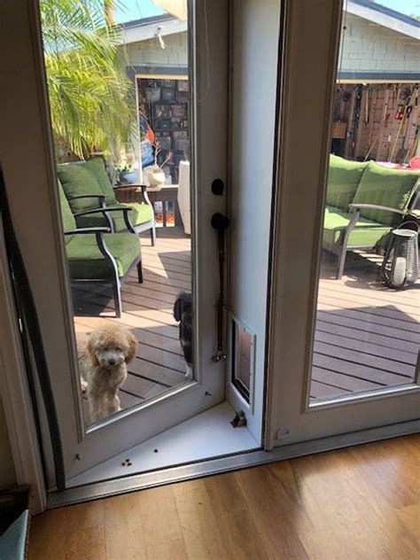 The magnetic closure will help make sure you aren't. sliding-glass-dog-door-ideas