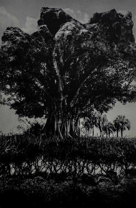 Jerry Uelsmann Rock Tree 1969