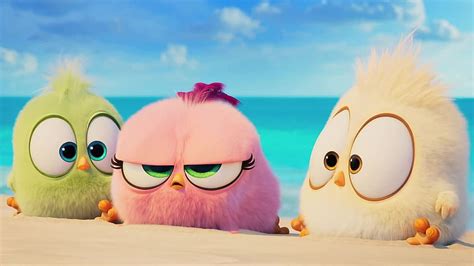 The Angry Birds Movie 2 Hatchlings Hd Wallpaper Pxfuel