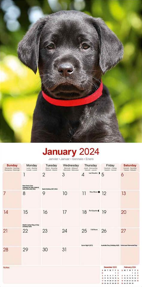 Black Labrador Puppies Calendar Dog Breed Pet Prints Inc