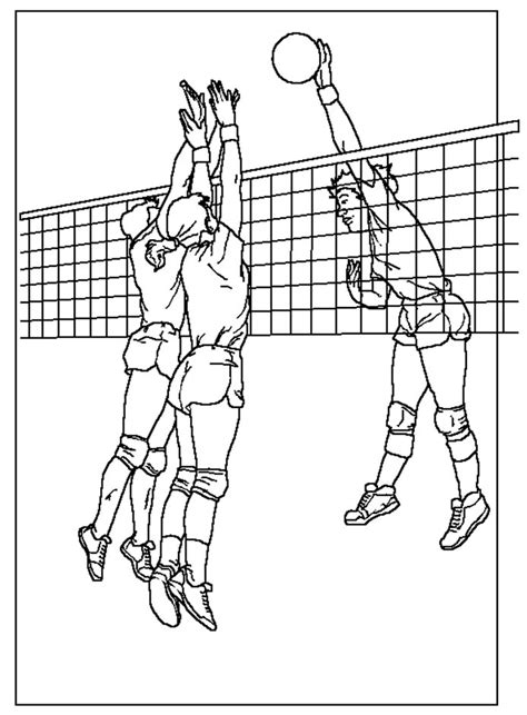 Coloring And Activity Pages Volleyball 3 Players At The Net Coloring Page