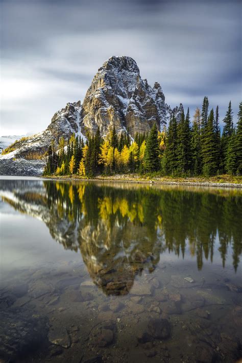 We Were Hunting For Mount Assiniboine But Got This Epic Reflection Of