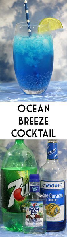 Ocean Breeze Cocktail Recipe Bargainbriana Recipe Alcoholic Drinks Fun Summer Drinks Alcohol