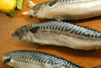 Normally we don't eat it as. The Nutritional Facts of Saba Mackerel | Healthy Eating ...