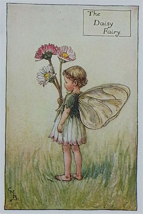 Flower Fairies Daisy Flower Fairy Cicely Mary Barker Etsy Uk Flower