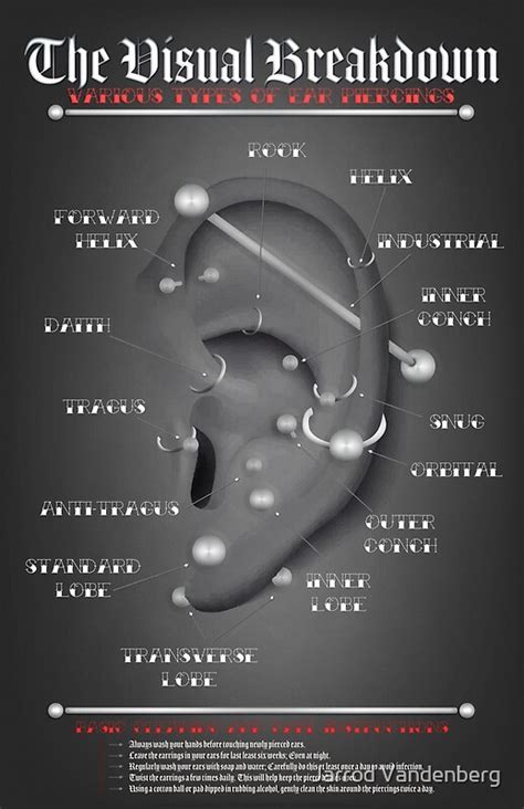 Ear Piercing Infographic Chart By Jarrod Vandenberg Redbubble