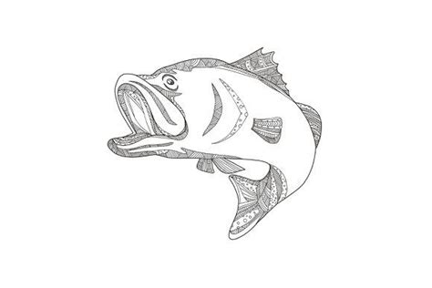Barramundi Jumping Doodle Art Doodle Art Retro Illustration Fish