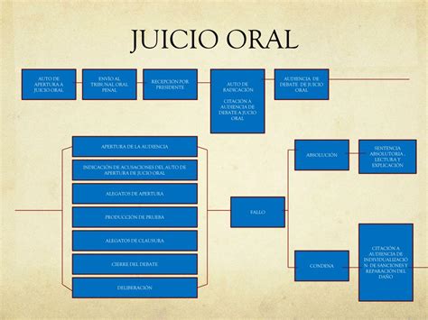 Etapas De Un Juicio Penal