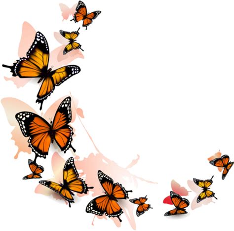Monarch Butterfly On Sunflower Clip Art Clipart Images