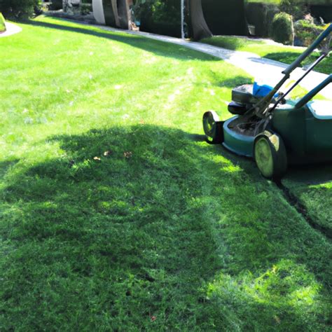 The Importance Of Professional Lawn Care Services Easy Home Blog