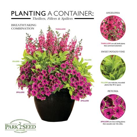 Be sure that this pot has its own. Design beautiful flowerpots and windowboxes using the ...