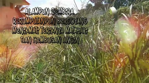 … di alam ini kita tak melihat satu pun yang terisolasi; KATA BIJAK TENTANG ALAM - YouTube