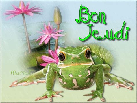 Jours de la semaine