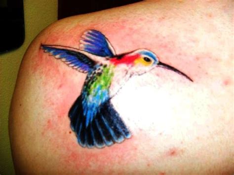 Humming Bird Tattoos Hummingbird Tattoos On Shoulders