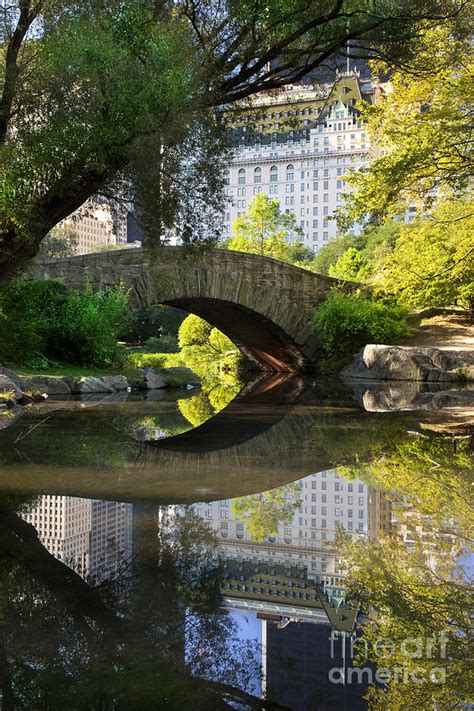 Central Park Photograph By Brian Jannsen Fine Art America