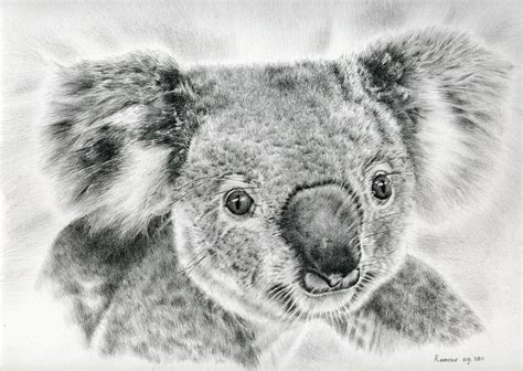 The thing about drawing with pencils is that we learned to draw using them in the first place and this is probably why the charm of pencil. Photorealistic Pencil Drawings of Animals - Remrov's Artwork