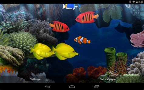 46 Live Aquarium Wallpaper Free Download Wallpapersafari